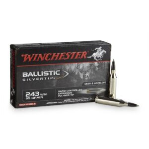 243 Winchester, BST, 95 Grain