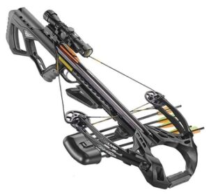 bows-and-crossbows